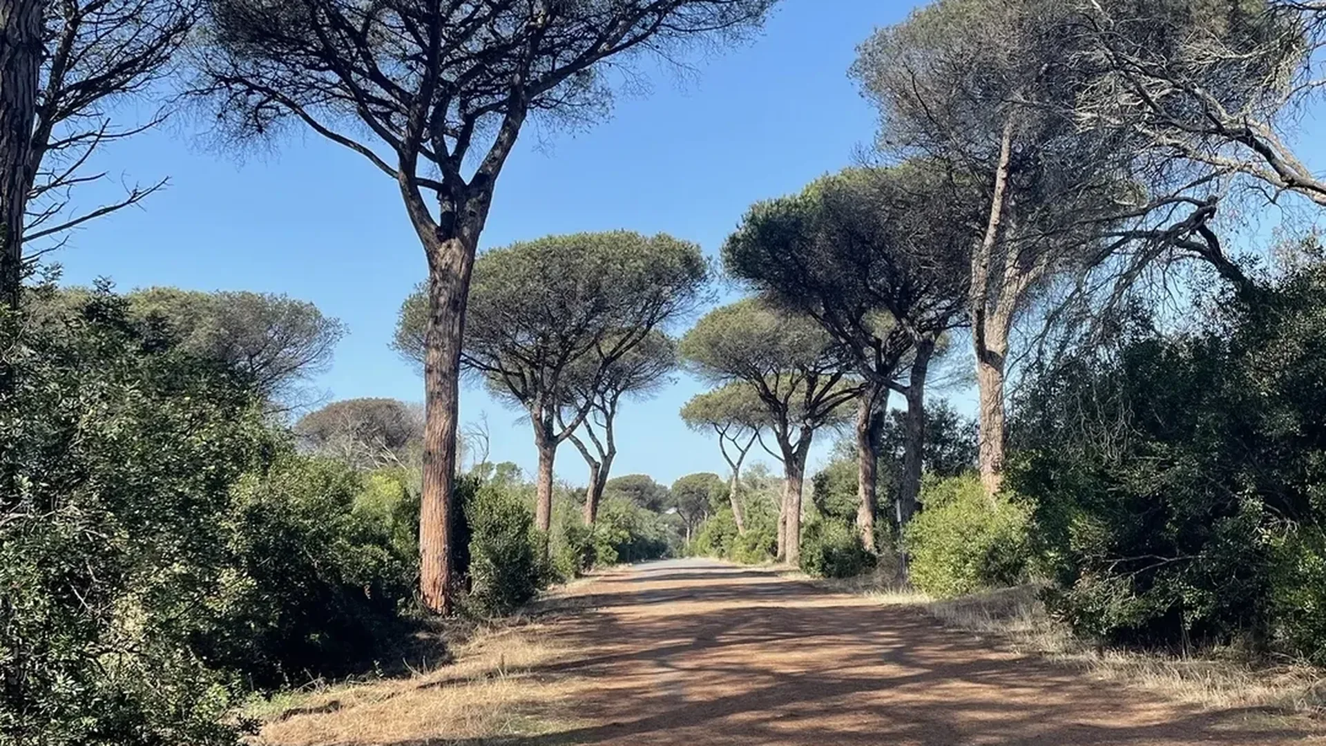 Blu Suite Ostia, Lido di Ostia (Lazio)